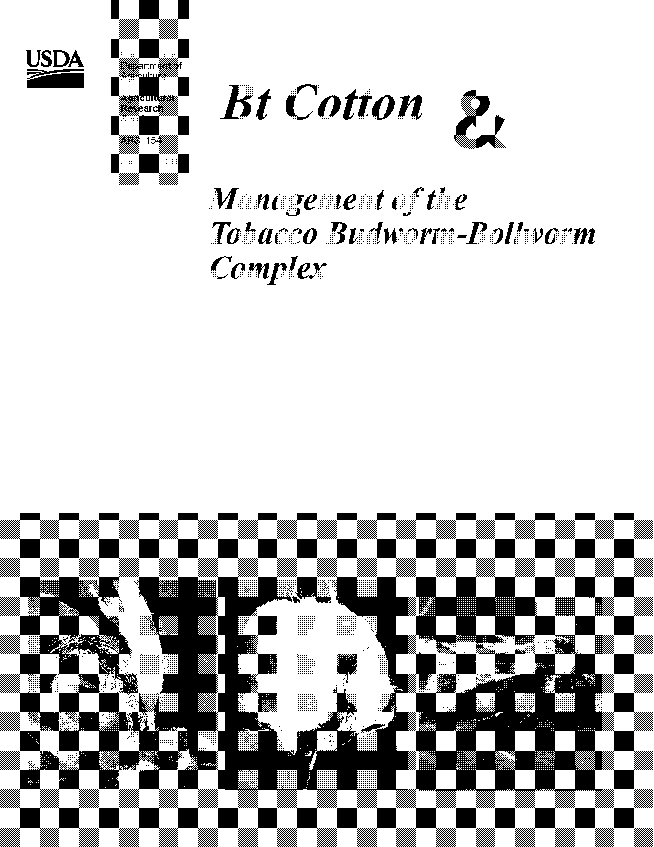 cotton cultivation practices pdf