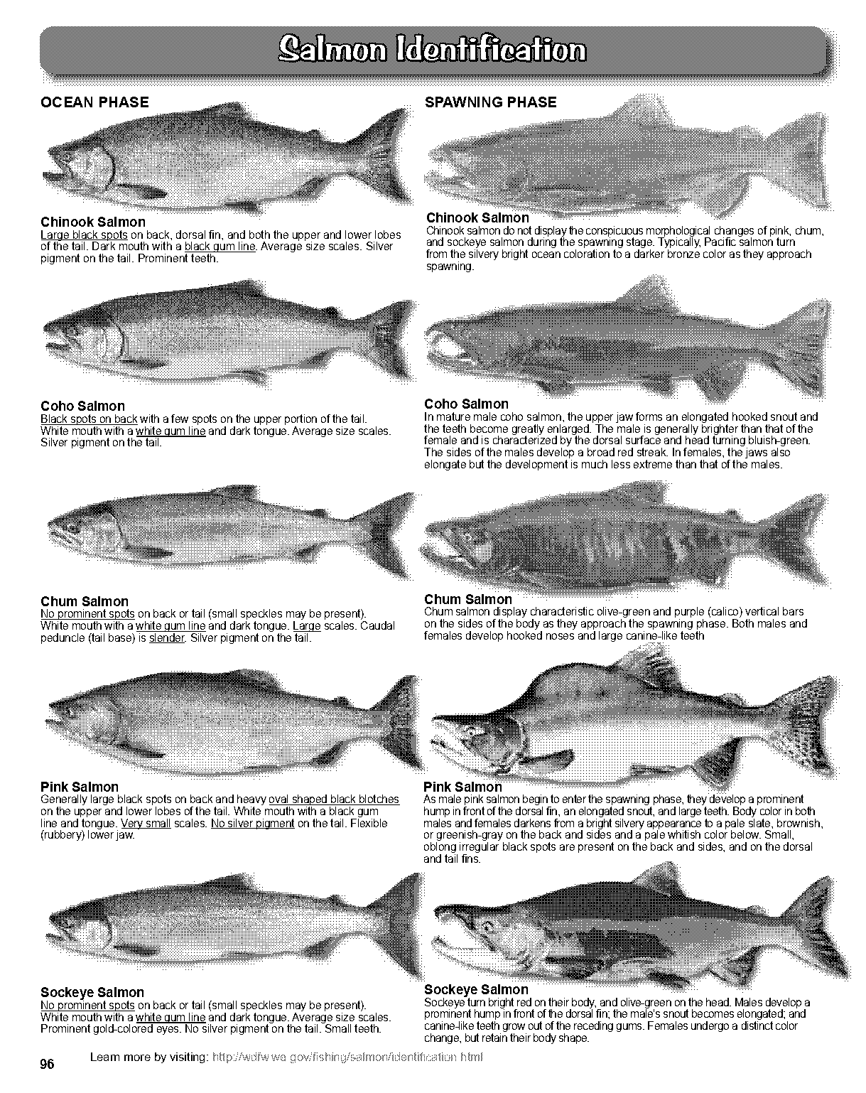 columbia river fish guide