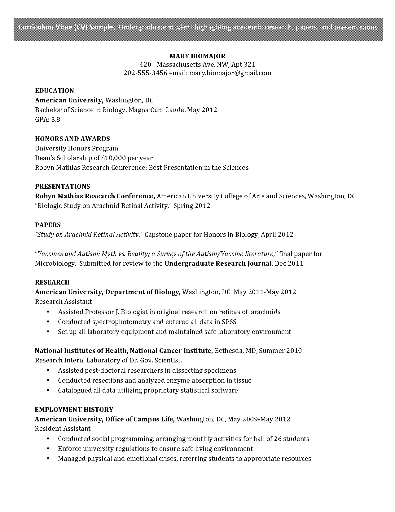 american cv format pdf for application