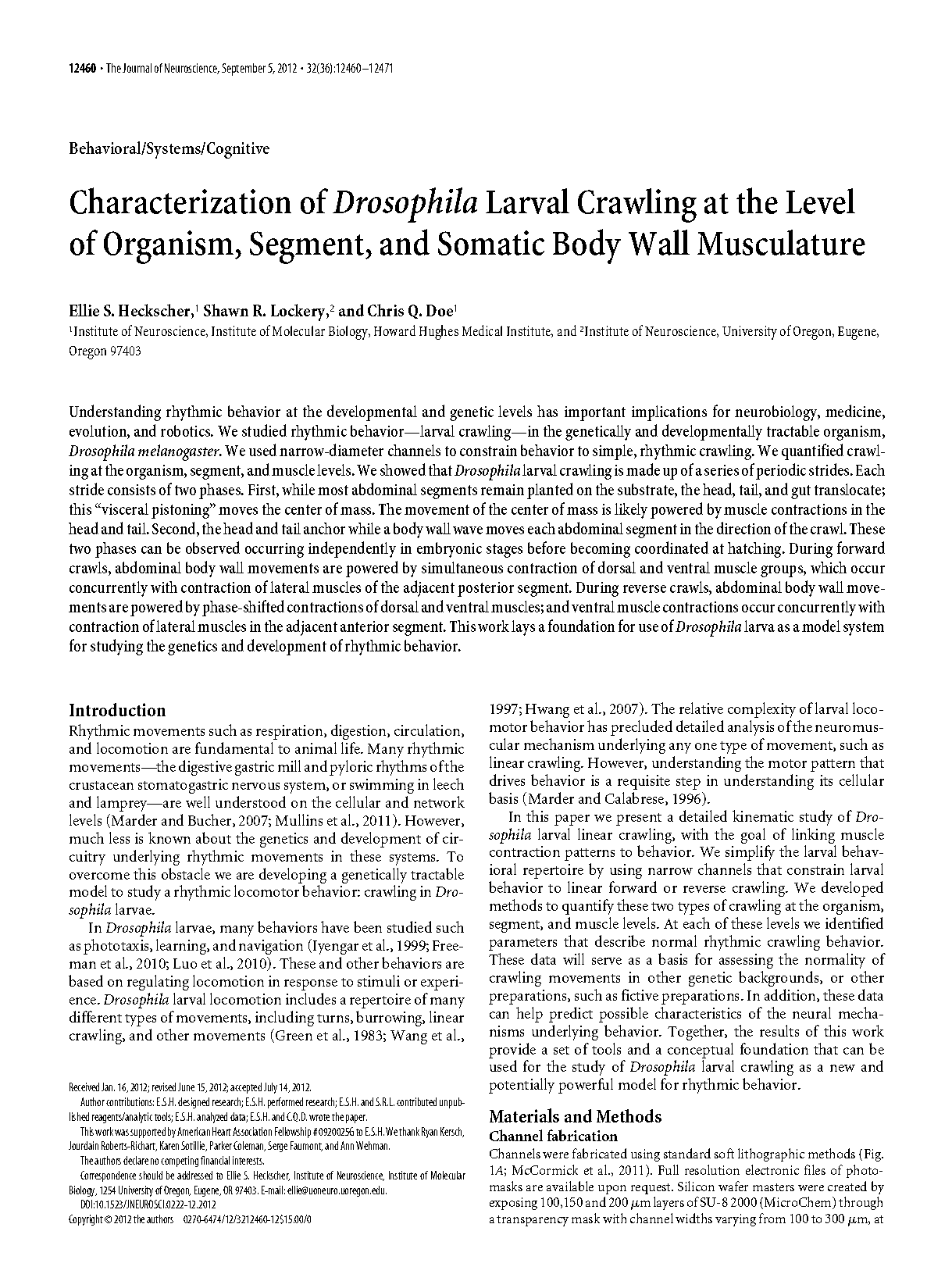 muscles contract in head