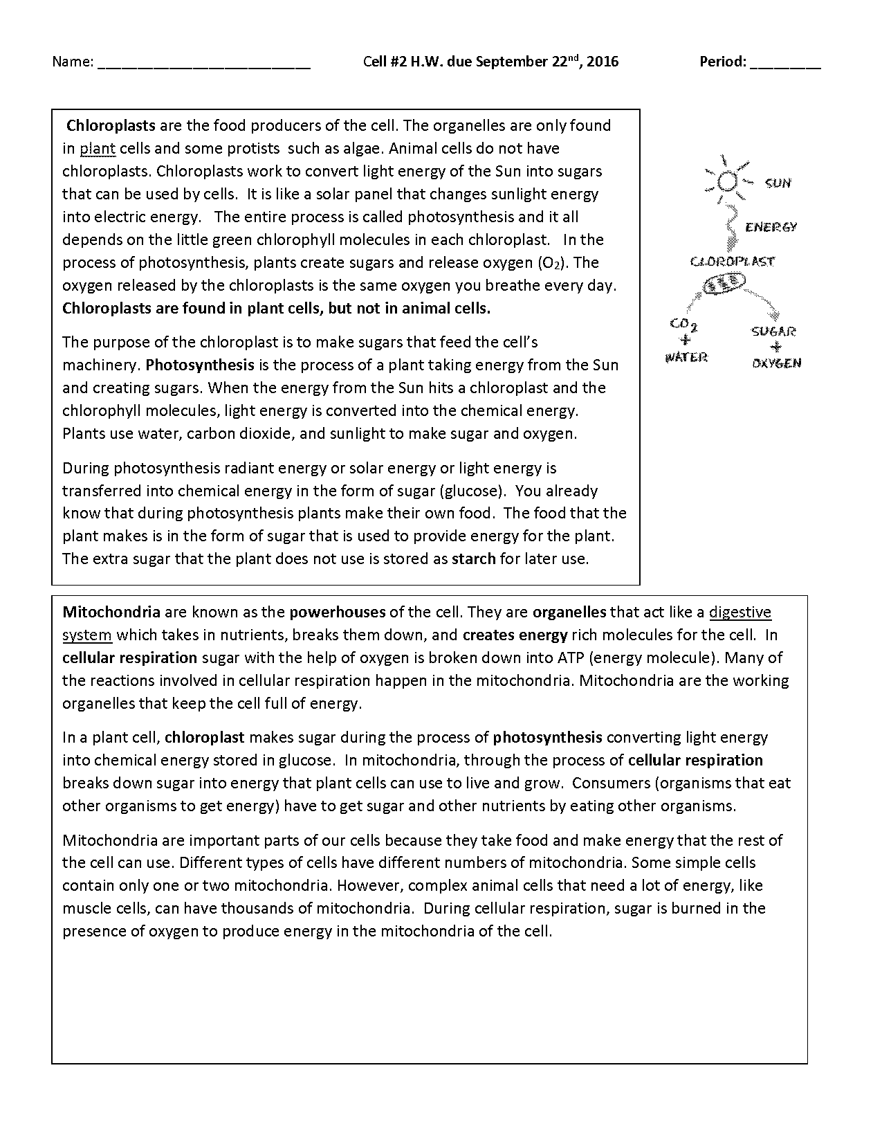 breaks down to form glucose used for energy